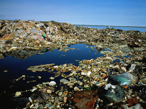 海洋生态面临大劫 塑料垃圾数量将超鱼类总和