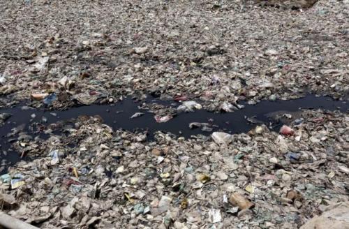 地球迈向“塑料星球” 67年产逾91亿吨塑料垃圾