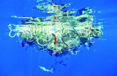 新研究：利用微生物处理海洋塑料垃圾